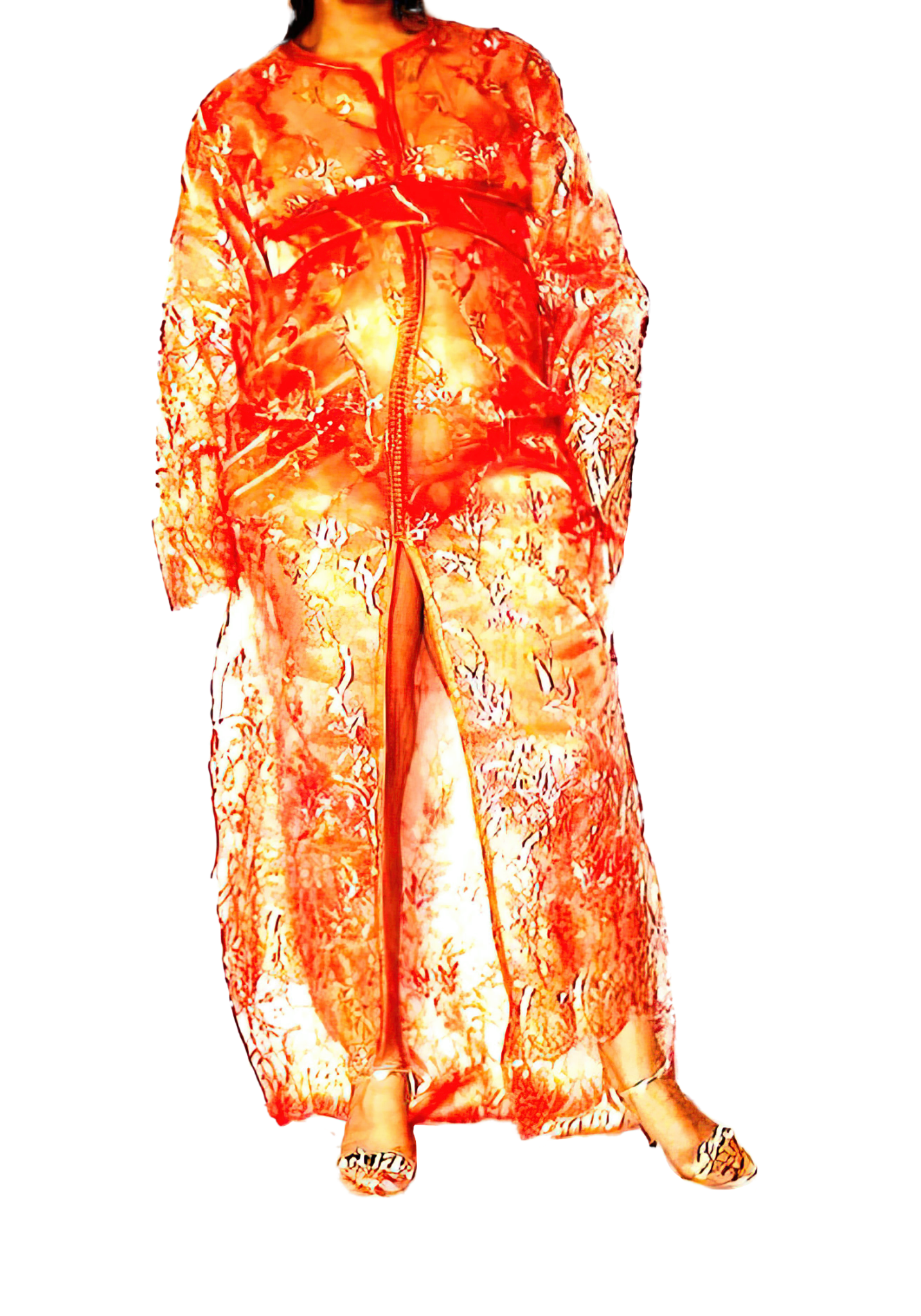 Le Corps Pansant - 2009